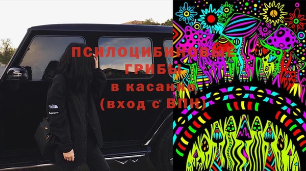 дурь Коряжма