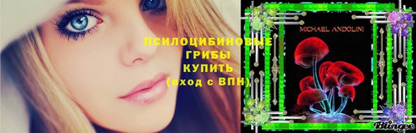 дурь Коряжма
